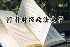 2024河南财经政法大学录取分数线：新疆最低418分