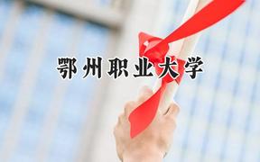 鄂州职业大学2024在贵州录取分数线是多少？最低250分/最高427分
