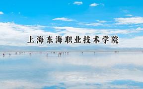 上海东海职业技术学院2024在辽宁录取分数线是多少？最低266分/最高315分