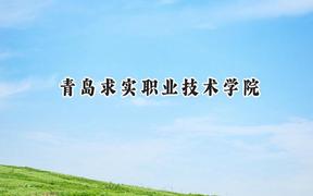 2024青岛求实职业技术学院录取分数线：青海最低221分