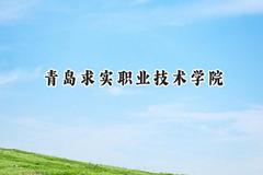 2024青岛求实职业技术学院录取分数线：青海最低221分