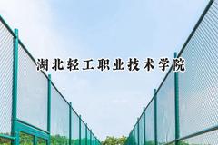 湖北轻工职业技术学院2024在河北录取分数线是多少？最低368分/最高432分
