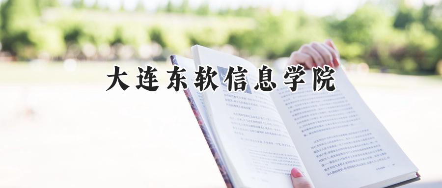 大连东软信息学院