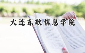 大连东软信息学院2024在内蒙古录取分数线是多少？最低319分/最高417分