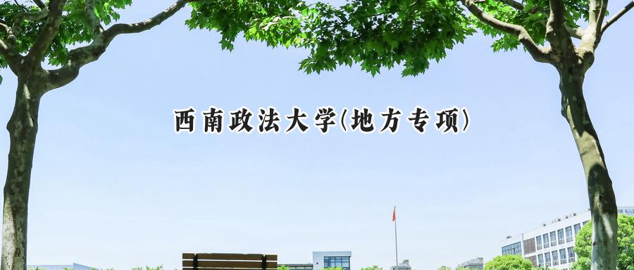 西南政法大学(地方专项)