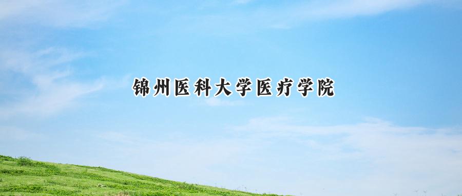 锦州医科大学医疗学院