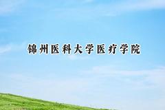 2024锦州医科大学医疗学院录取分数线：宁夏最低404分