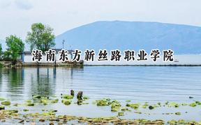 海南东方新丝路职业学院2024在辽宁录取分数线是多少？最低206分/最高258分