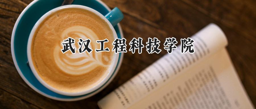 武汉工程科技学院