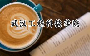 武汉工程科技学院2024在江苏录取分数线是多少？最低235分/最高481分