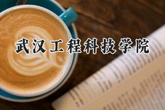 武汉工程科技学院2024在江苏录取分数线是多少？最低235分/最高481分