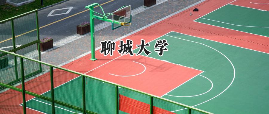 聊城大学