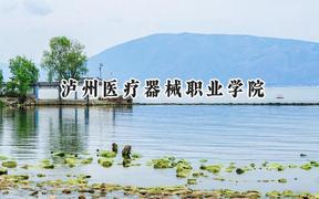 2024泸州医疗器械职业学院录取分数线：江苏最低305分