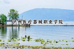 2024泸州医疗器械职业学院录取分数线：江苏最低305分