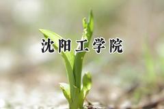 沈阳工学院2024在内蒙古录取分数线是多少？最低297分/最高404分