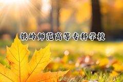 铁岭师范高等专科学校2024在四川录取分数线是多少？最低355分/最高417分