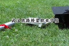 2024武汉铁路桥梁职业学院录取分数线：江苏最低351分