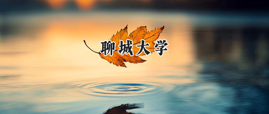 聊城大学