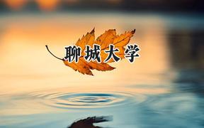 聊城大学2024在天津录取分数线是多少？最低500分/最高560分