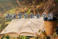 武汉警官职业学院2024在河北录取分数线是多少？最低402分/最高447分