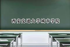 2024西安交通大学城市学院录取分数线：天津最低491分