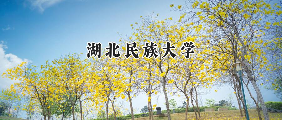 湖北民族大学
