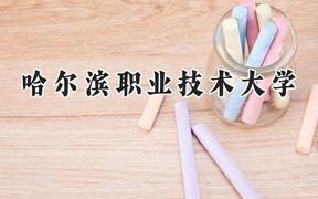哈尔滨职业技术大学2024在河北录取分数线是多少？最低368分/最高489分