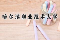 哈尔滨职业技术大学2024在河北录取分数线是多少？最低368分/最高489分