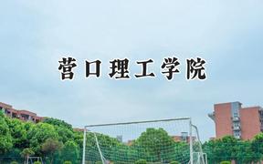 营口理工学院2024在辽宁录取分数线是多少？最低448分/最高497分