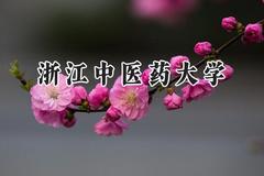 浙江中医药大学2024在浙江录取分数线是多少？最低491分/最高653分