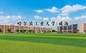哈尔滨工业大学(威海)2024在天津录取分数线是多少？最低653分/最高657分