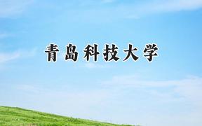 青岛科技大学2024在上海录取分数线是多少？最低442分/最高471分