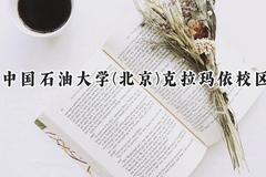 2024中国石油大学(北京)克拉玛依校区录取分数线：天津最低596分