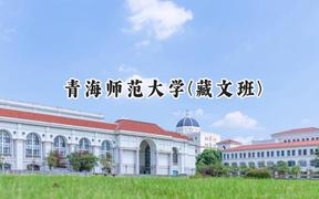 2024青海师范大学(藏文班)录取分数线：青海最低411分