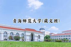 2024青海师范大学(藏文班)录取分数线：青海最低411分