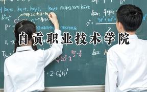 2024自贡职业技术学院录取分数线：青海最低166分
