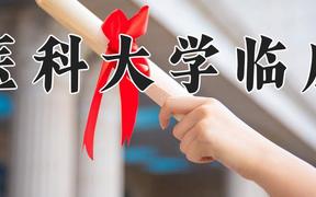 河北医科大学临床学院2024在浙江录取分数线是多少？最低484分/最高572分