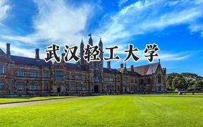 2024武汉轻工大学录取分数线：天津最低551分