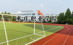 枣庄职业学院2024在内蒙古录取分数线是多少？最低221分/最高388分