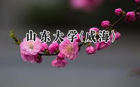 山东大学(威海)2024在内蒙古录取分数线是多少？最低551分/最高626分