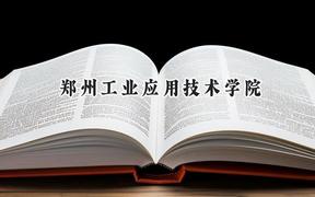 郑州工业应用技术学院2024在浙江录取分数线是多少？最低394分/最高539分