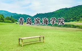 青岛滨海学院2024在天津录取分数线是多少？最低478分/最高486分