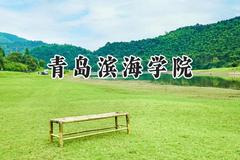青岛滨海学院2024在天津录取分数线是多少？最低478分/最高486分
