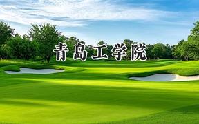 青岛工学院2024在四川录取分数线是多少？最低469分/最高478分
