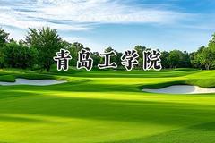 青岛工学院2024在四川录取分数线是多少？最低469分/最高478分
