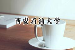 2024西安石油大学录取分数线：新疆最低413分