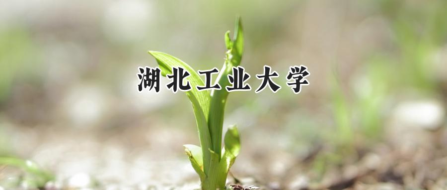 湖北工业大学