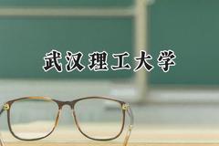 武汉理工大学2024在四川录取分数线是多少？最低571分/最高634分