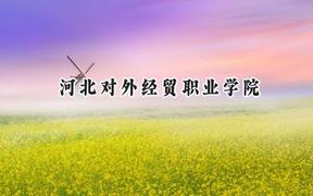 2024河北对外经贸职业学院录取分数线：宁夏最低267分