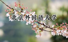 2024北京外国语大学录取分数线：天津最低632分